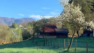 Blue House - Vişeu de Sus - 6