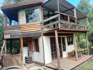 La semilla - - 8