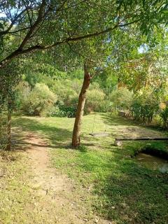 La semilla - - 7