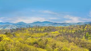 Wild Honey - Sevierville - 0