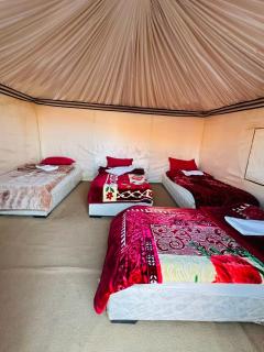 Desert Pearl Wadi Rum Camp & Tours - 5