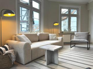 HYGGE LIVING - NEU - große hochwertige Apartments - hundefreundlich - inmitten der Altstadt - Goslar - 2