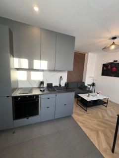 Superbe appartement neuf 2 pièces Vincennes pte de Paris - Montreuil - 1
