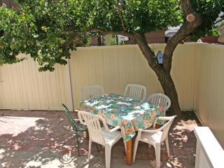 225CL 225 Claressa - 3