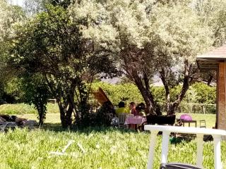Hostal Santa Elena - Isla de Maipo - 3