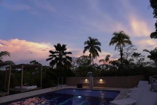 Amaranthus Renaissance - Doradal - 0