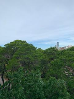 Sunny Studio Apt Palermo Parks - Buenos Aires - 5