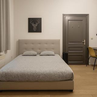 cozy studio Louisa #1 - Bruxelles - 5