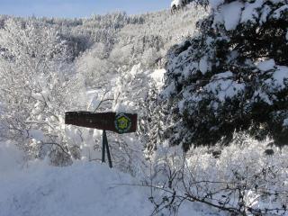 Gîte au calme avec 2 chambres, terrasse, jardin, BBQ et parking inclus à Breitenbach-Haut-Rhin - FR-1-744-42 - Breitenbach-Haut-Rhin - 9