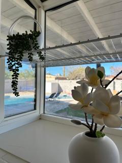 Modern 4BR3Ba Home with Pool and Fire Pit - Phoenix - 3