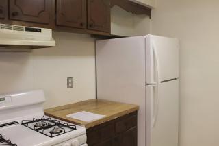 Rustic Cozy Private East Hampton Sorings Getaway - 3