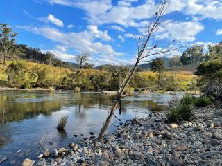 Yeoman Farm Stay - Nymboida River - - 9