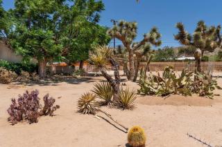 Moonrise Ranch - Joshua Tree - 2