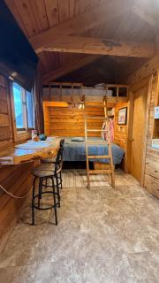 Cozy little pet-friendly cabin - Custer - 4