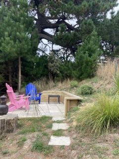 Treetop Studio - Wellington - 2