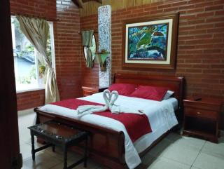 Casa Cultural Mindo - Mindo - 6