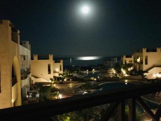 Dahab Dolphin - 3
