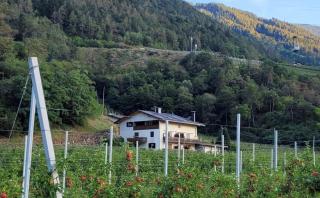 Saringerhof - Rablà - 0