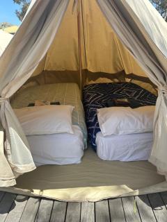 Roseneath Holiday Park - - 8