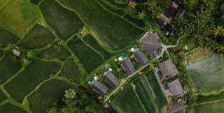The Pulu Villas by Pramana Villas - Ubud - 8