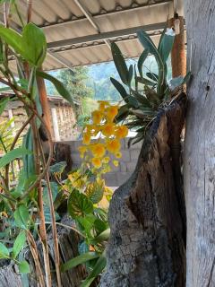 Joyful Haven Home - 2