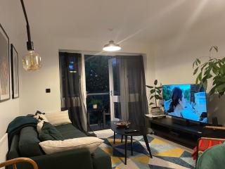 Lovely 2 bedroom flat with free parking and WIFI - 9