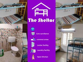 The Sheltor - Chennai - 0