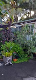 Ambiance sud sauvage - 7