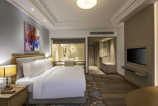 Park Plaza Jalandhar - Jalandhar - 8