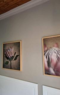 Boschendal Guesthouse - Kimberley - 6