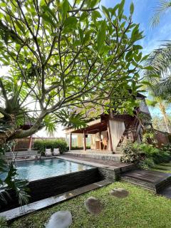 Shri Wedari Private Pool with Ricefield View - 1