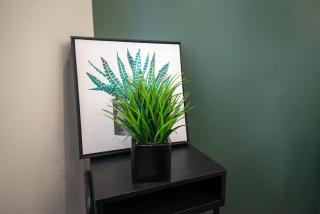 Diamond Suites Philadelphia Center - 9