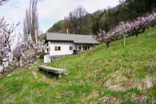 Maisonnette de campagne - Sion - 8