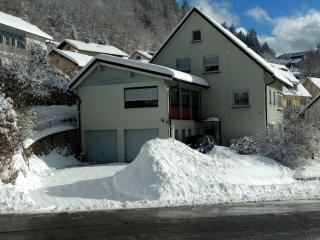 Haus Marion - Todtnau - 1