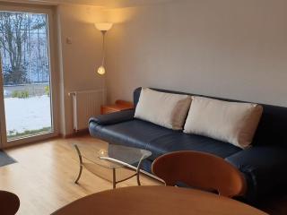 Haus Marion - Todtnau - 9