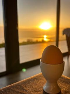 Die Uitzicht Guesthouse - Knysna - Knysna - 4