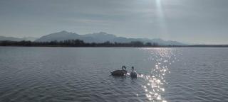 Achentaler Auszeit - Schleching - 2