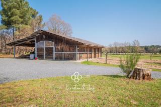 Studio "La Citrie" Terrasse, chevaux et nature - 8