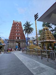 Temple View - Bangalore - 0