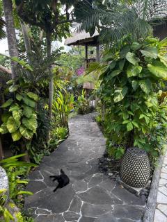 Unique tropical high class Oasis-Cook Driver Staff - 7