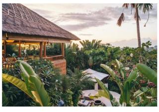 Unique tropical high class Oasis-Cook Driver Staff - 6