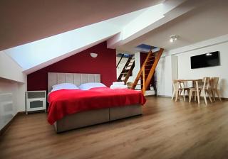 Apartament Winnica - Cracovie - 9