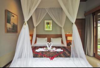 Pondok Mekar Villa Rose - 9