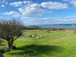 Penty Tiezigoù - Crozon, Bretagne - Crozon - 9