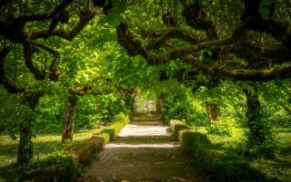 Independent cottage with heated pool - 6