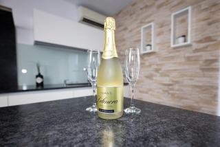 Riedwohnung 1- Lustenau - 4