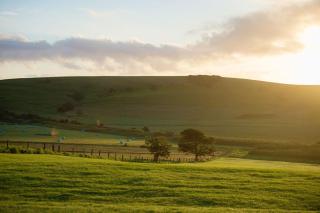 Seacliff House 10 bedrooms with Ocean & Dairy Country Views - Gerringong - 3