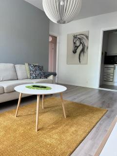 Quietly located one-bedroom apartment near downtown - Jyväskylä - 1