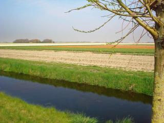 Tulpenzicht - 3