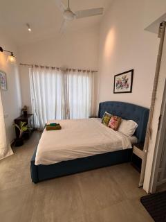 Green Ambit the Calissa - 9